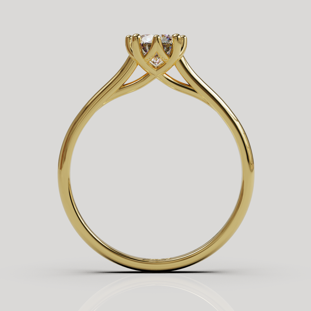 Anillo Elfi
