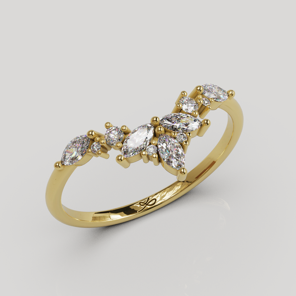 Anillo Lunel