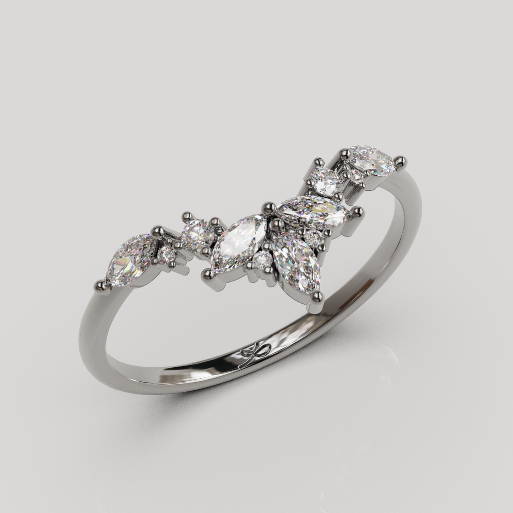 Anillo Lunel