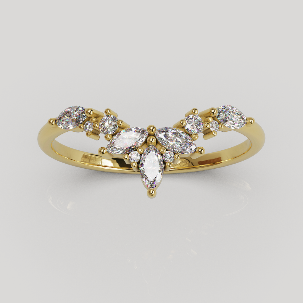 Anillo Lunel