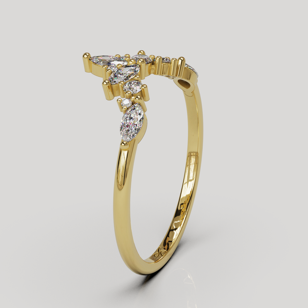 Anillo Lunel