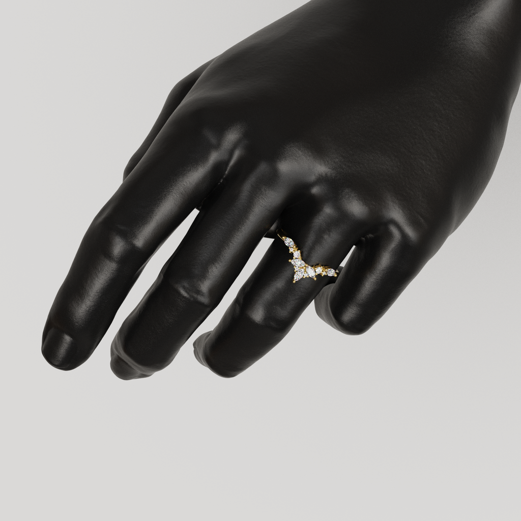 Anillo Lunel